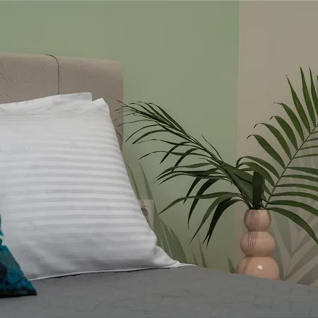 Andy's & Hari's Elegant Town Apartment
